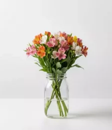name: Thirty Blooms of Alstroemeria in Mason Jar