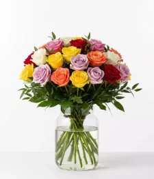 name: Two Dozen Long Stem Assorted Roses