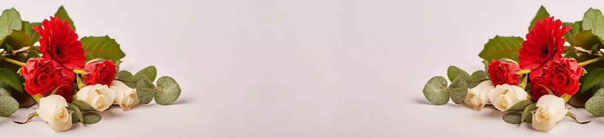 Free Shipping on orders above $99.95