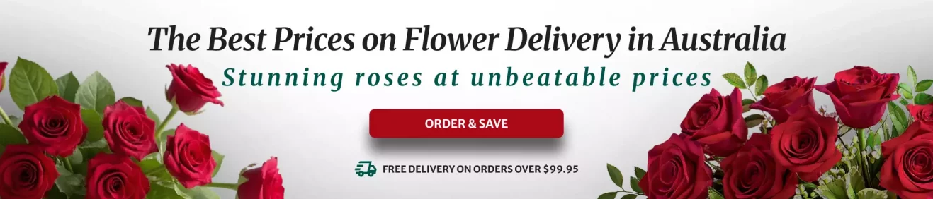 Free Shipping on orders above $99.95